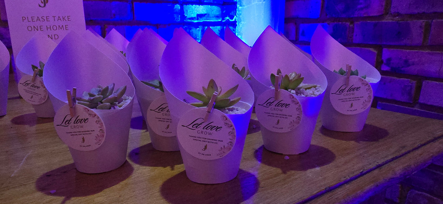 Let Love Grow — Personalised Succulent Wedding Favour