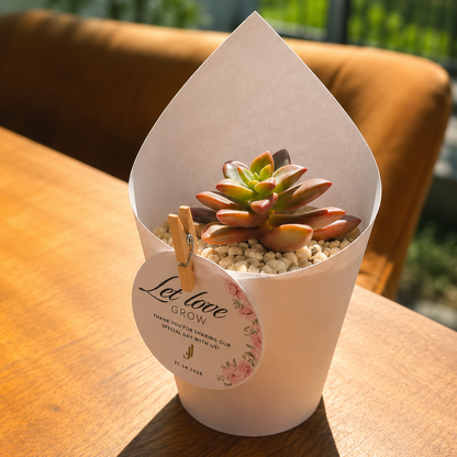 Let Love Grow — Personalised Succulent Wedding Favour