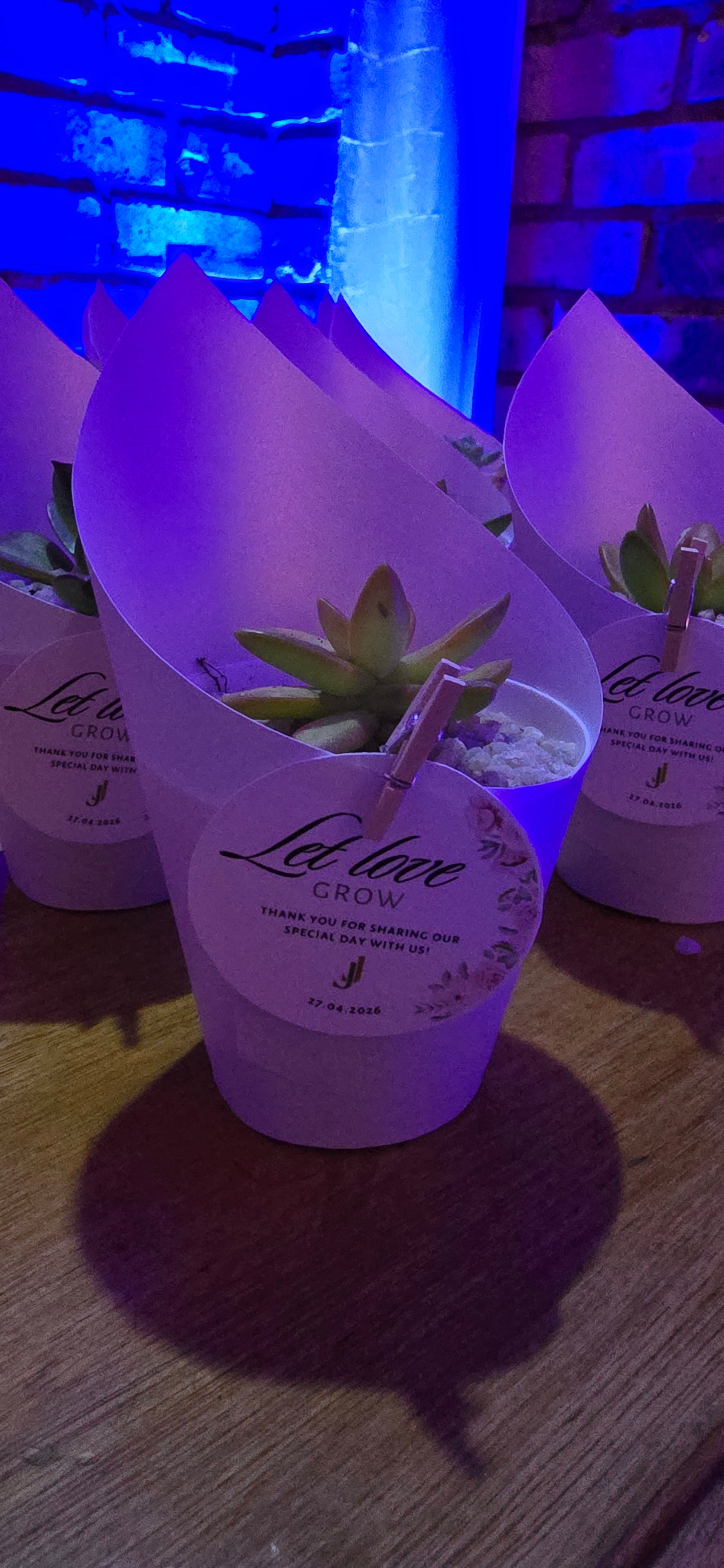 Let Love Grow — Personalised Succulent Wedding Favour